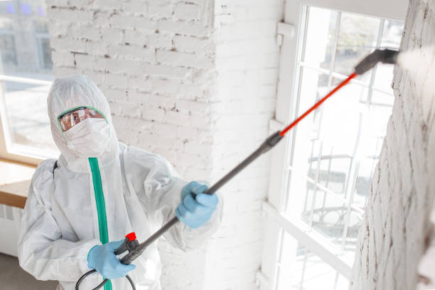Best Dehumidification Services  in Petersburg, WV