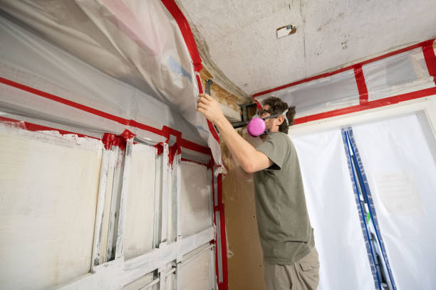 Best Post-Construction Mold Inspection  in Petersburg, WV