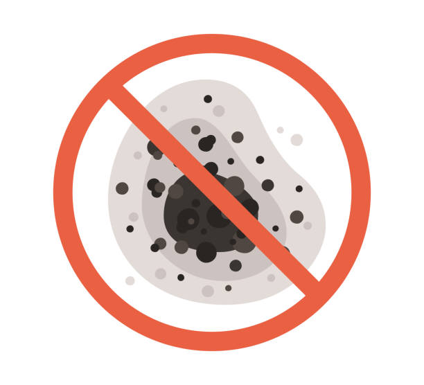 Best Air Quality Testing for Mold Spores  in Petersburg, WV